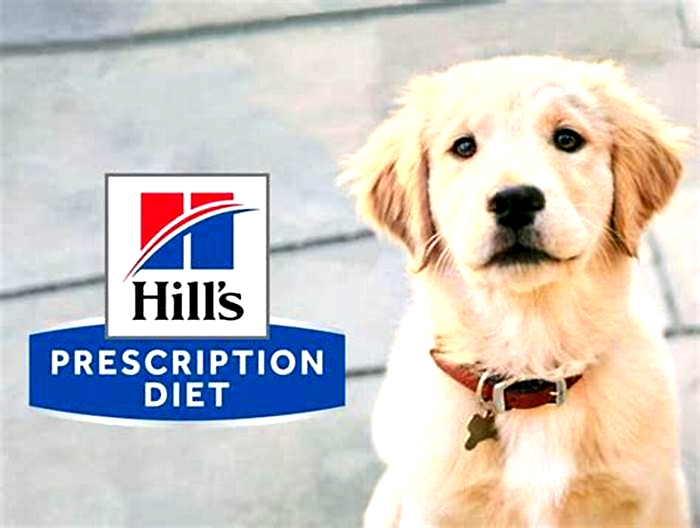 Is there medicine in Hill s Prescription Diet