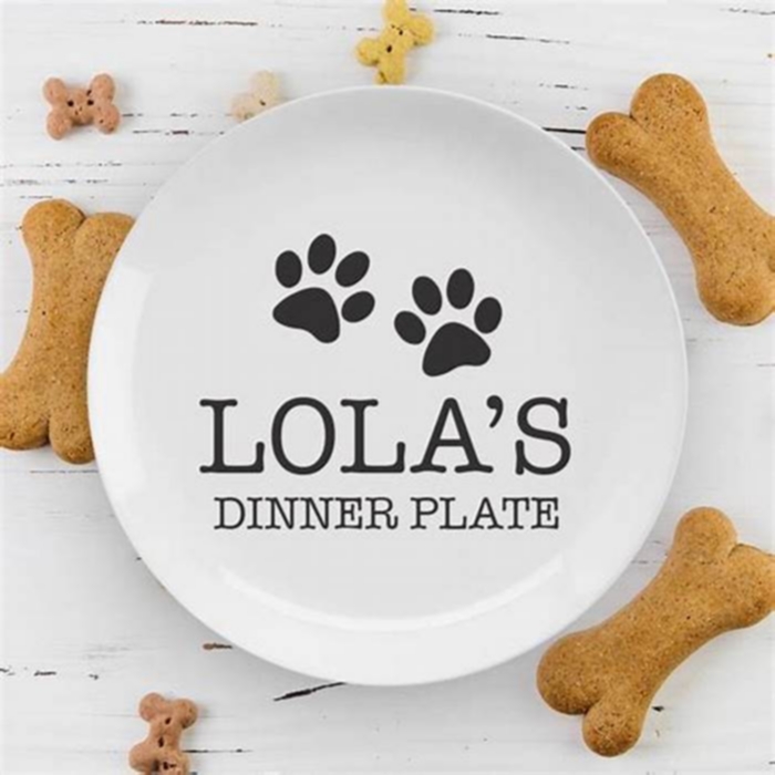 Paws Plates Embrace Farm Style Doggy Dining