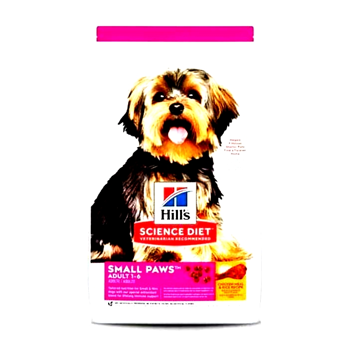 Paws for Health A Deep Dive into Hills Prescription Canine Nutrition