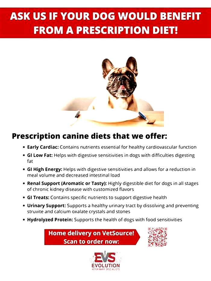 Prescription Dog Diets A Comprehensive Guide to Canine Nutrition