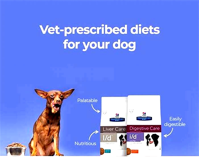 Prescription Dog Food: A Tailored Approach to Canine Health