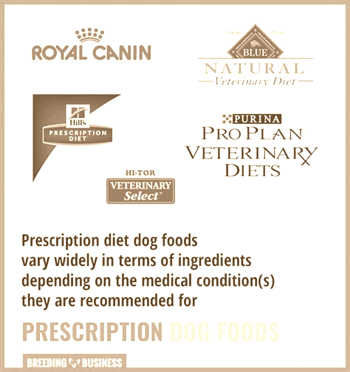 Prescription Dog Food: A Vet's Guide to Canine Nutrition