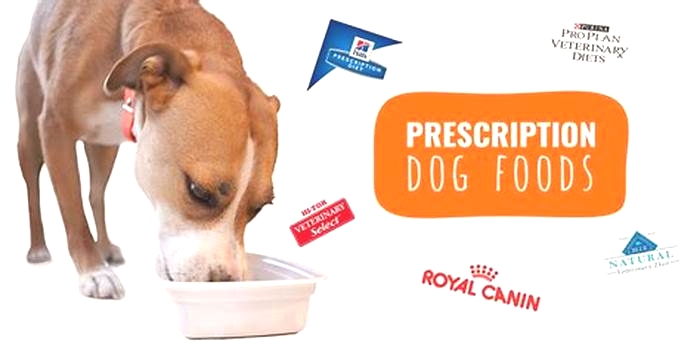 Prescription Dog Food A Vet s Prescription for Wellness