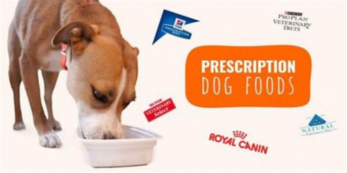 Prescription Dog Food: A Vet's Secret Weapon for Canine Wellness