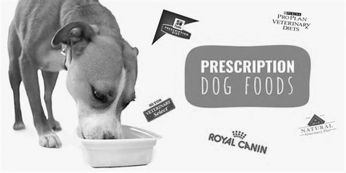 Prescription Dog Food The Key to Canine Wellness