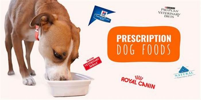 Prescription Dog Food What Every Pet Parent Should Know