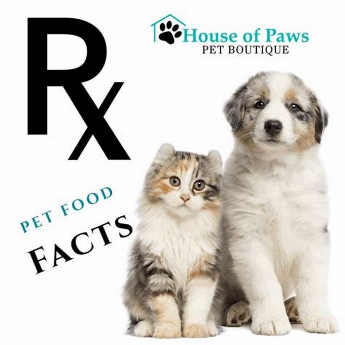 Prescription Paws: Understanding the Benefits of Vet-Approved Diets