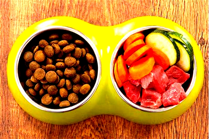 Puppy Platters: Farm-Style Meals for Your Pet Pal