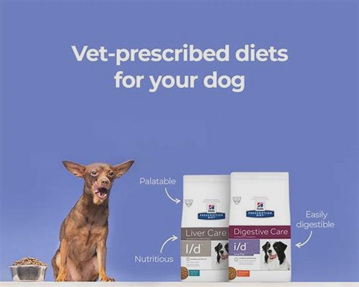 Rx for Good Health: A Deep Dive into Prescription Dog Diets