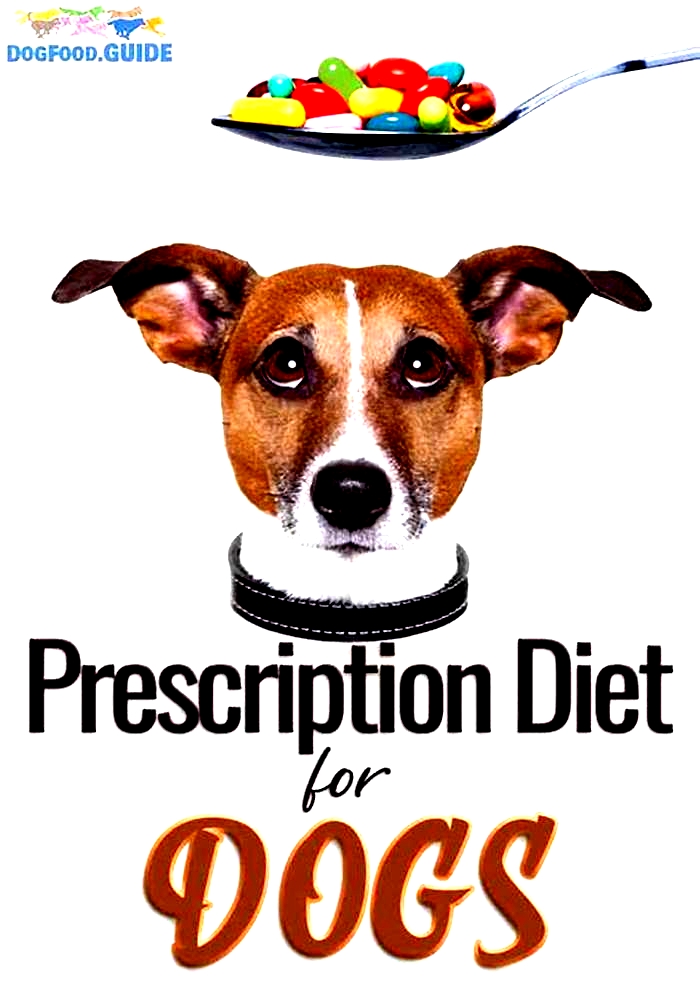 Rx for Good Health: The Role of Prescription Canine Diets