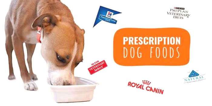 Rx for Health Exploring the Benefits of Prescription Dog Food