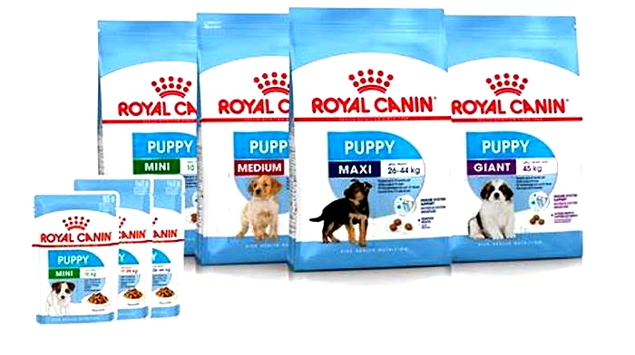 Should I mix water with Royal Canin?