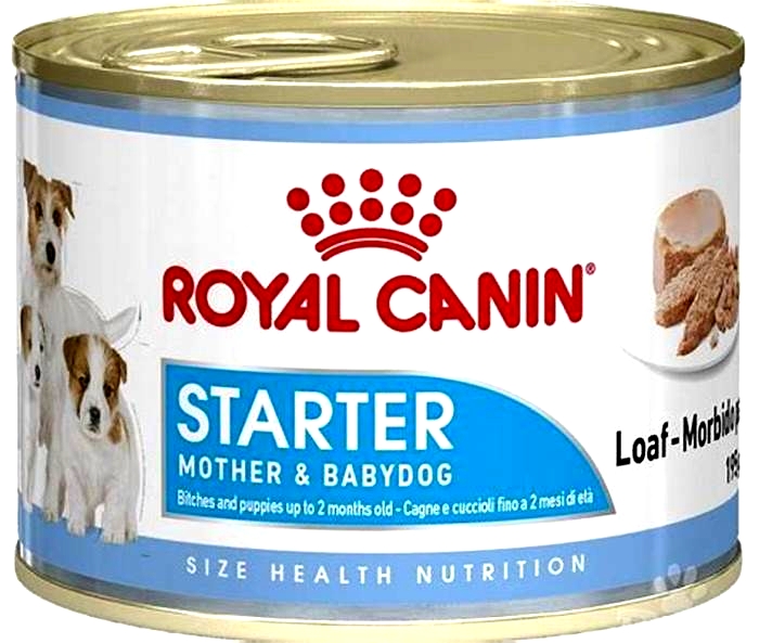 Should I soak Royal Canin