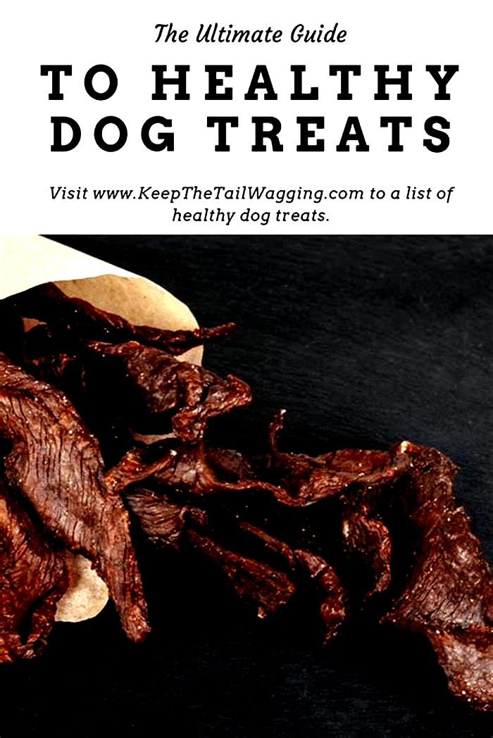 Tail Wagging Health A Guide to Prescription Dog Food