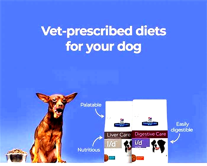 Tailored Nutrition The Science Behind Prescription Dog Diets