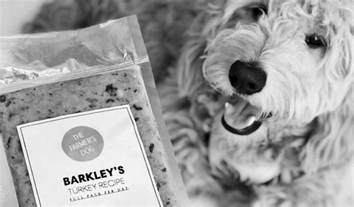 The Farmer s Dog Food A Fresh Start to a Healthier Happier Pup