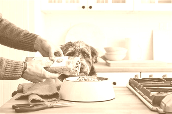 The Farmer's Dog Food: A Wholesome Meal Solution Tailored for Your Pup