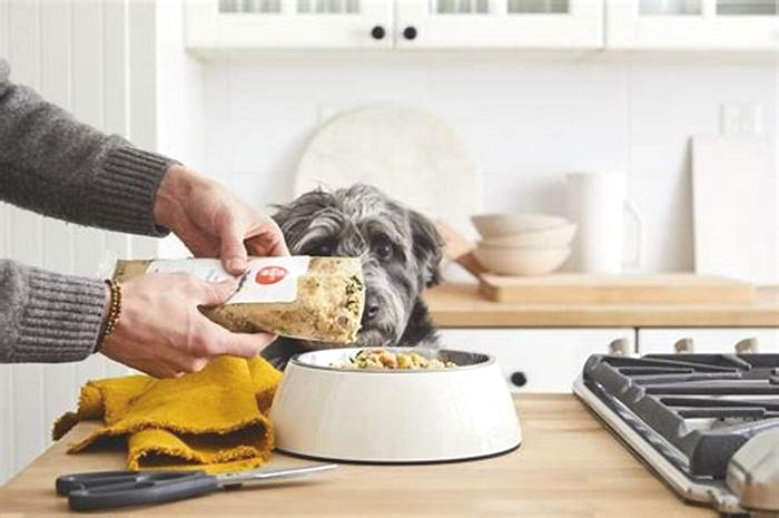 The Farmer's Dog Food: Bringing the Farm to Your Dog's Bowl, One Meal at a Time