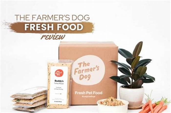 The Farmer's Dog Food: Elevating Canine Cuisine to New Heights