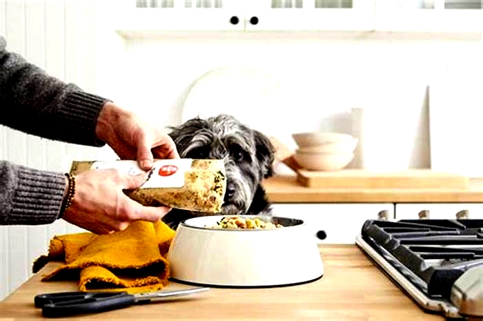 The Farmer s Dog Food Elevating Canine Dining to a Whole New Level