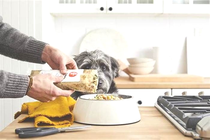 The Farmer s Dog Food Elevating Canine Health One Meal at a Time