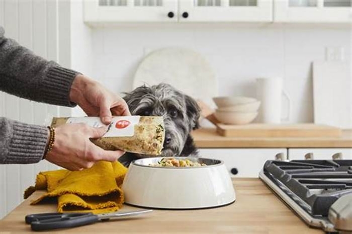 The Farmer's Dog Food: Freshness, Flavor, and Nutrition in Every Bowl