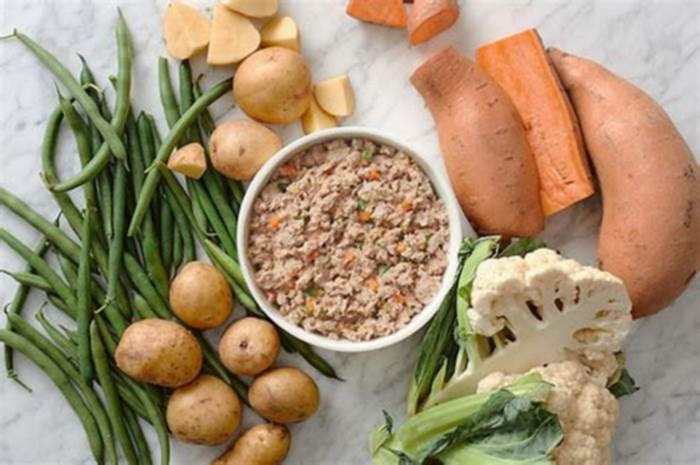 The Farmer's Dog Food: Why Fresh Ingredients Are Vital for Your Pup