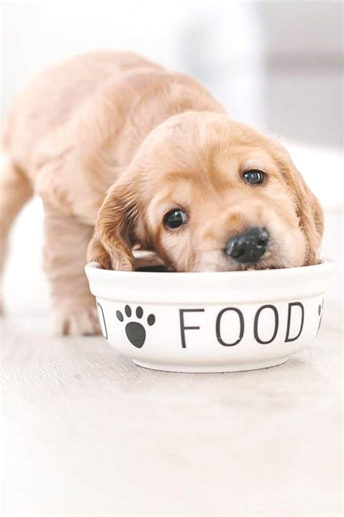 The Power of Prescription Diets: Nourishing Your Canine Companion