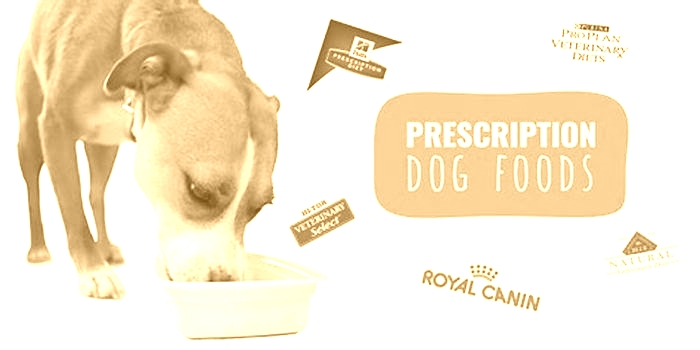 The Prescription Solution Unlocking Canine Health with Food