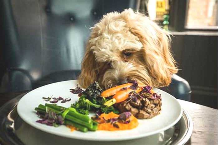 Unlocking the Secrets of Farm-Style Doggy Dinners