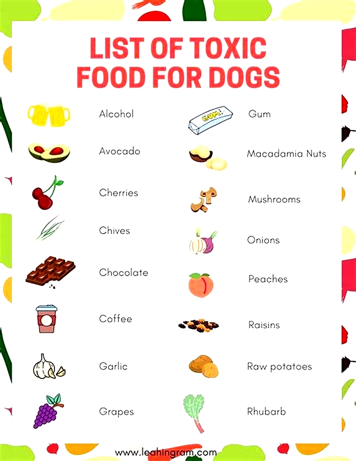 What are 13 human foods toxic to dogs