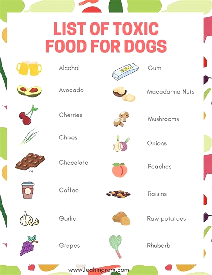 What are 3 foods bad for dogs