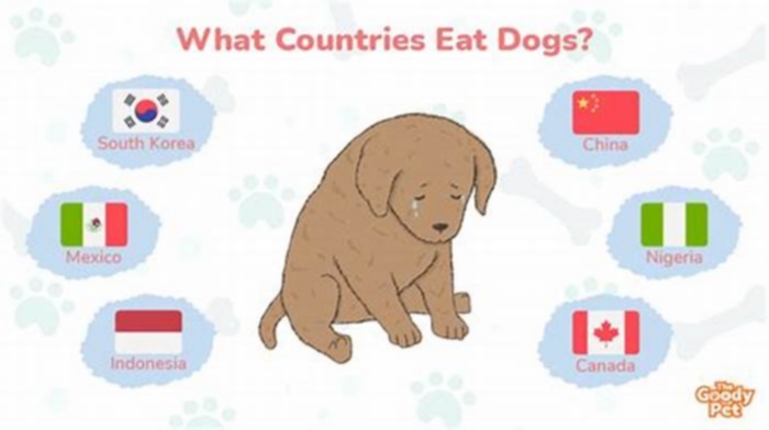 What country eats dogs for food?