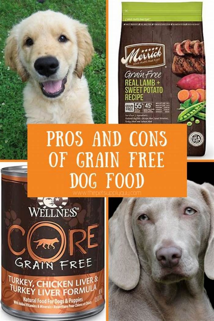 What do vets think of grain free dog food?