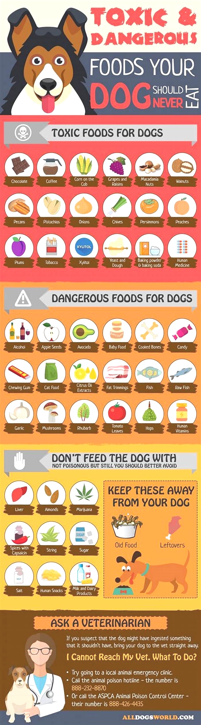 What dog food is not recommended by vets?