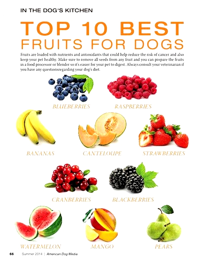 What fruit is good for dogs