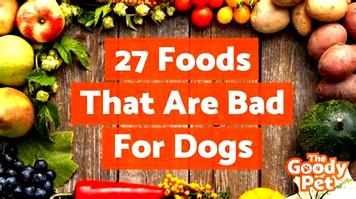 What human meat is bad for dogs