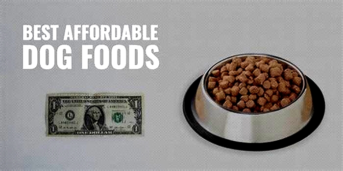 What is a cheaper alternative to dog food?