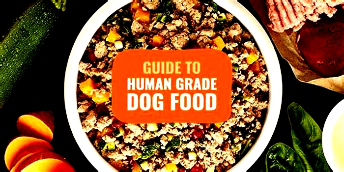 What is the best human grade dog food