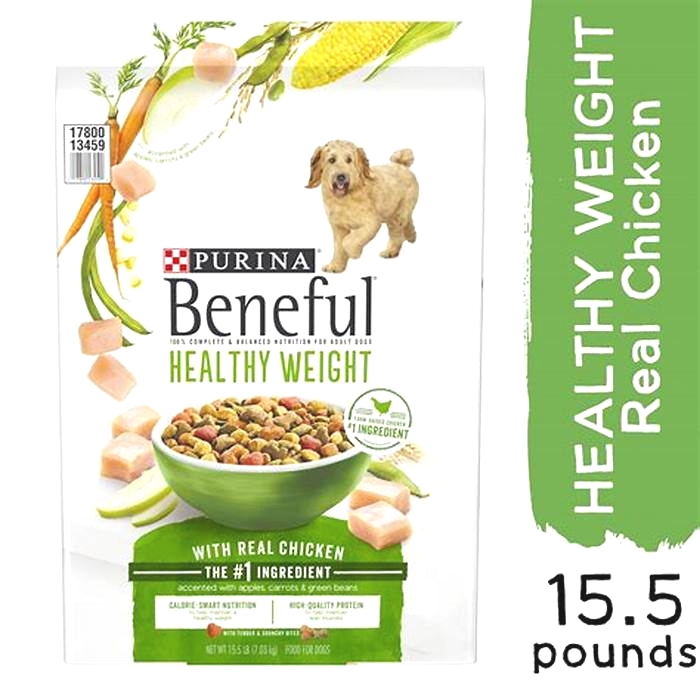 What is the number one healthiest dog food?