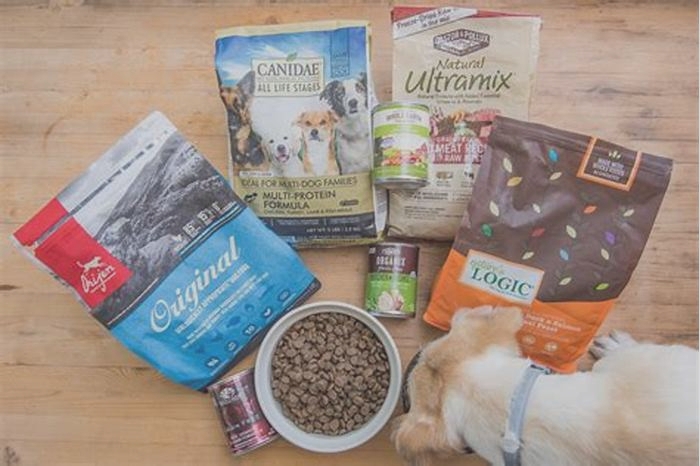 What is the world's best dog food?