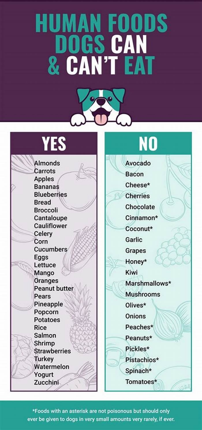 What meat should dogs not eat