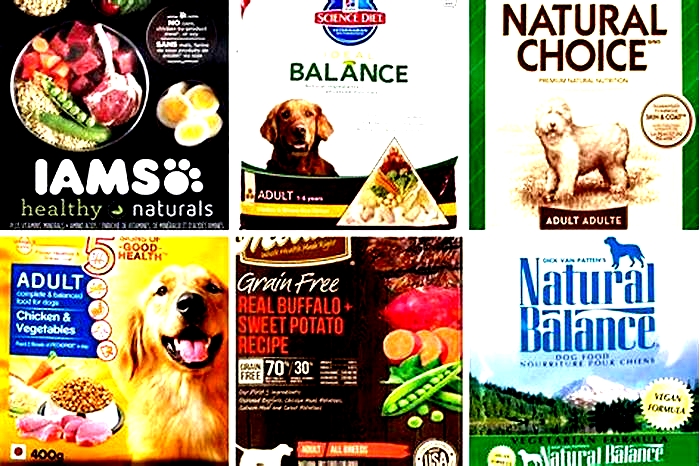 Which company dog food is best