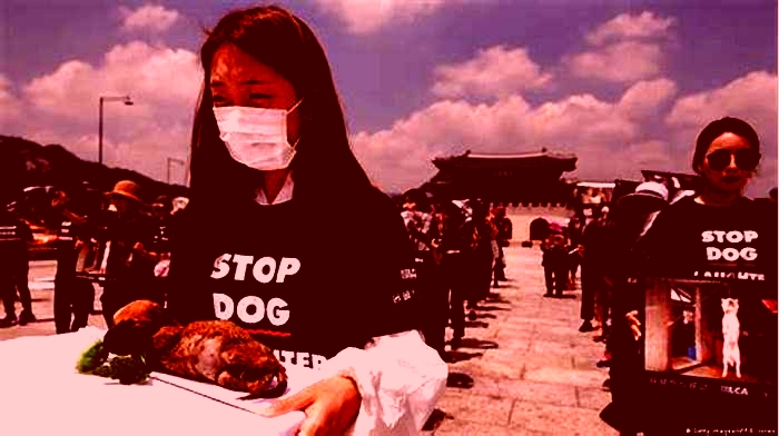 Which country banned dog meat