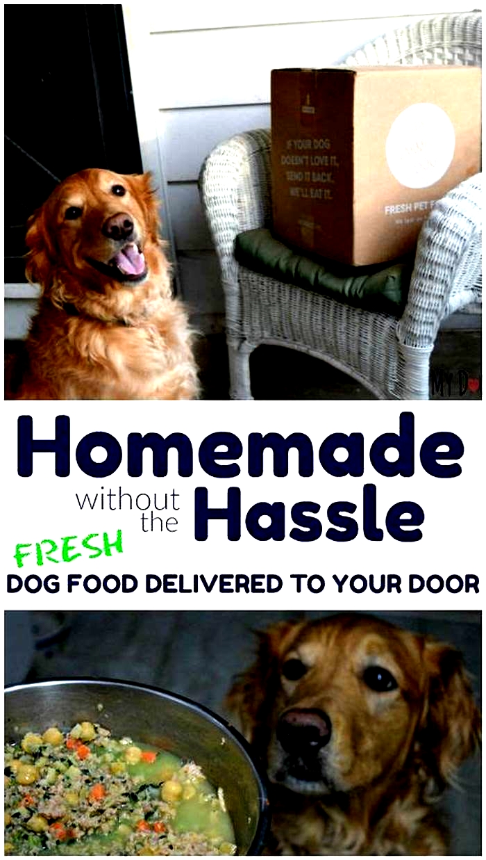 Wholesome Harvest: The Farm-Inspired Diet for Dogs