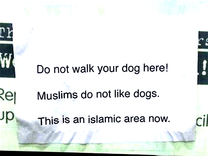 Why are dogs not halal in Islam