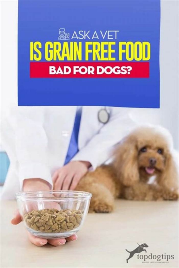 Why are vets against grain free?