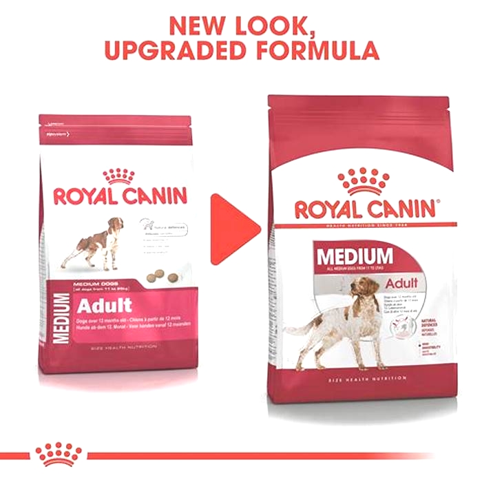 Why do dogs like Royal Canin so much