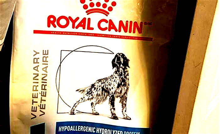 Why do vets recommend Royal Canin