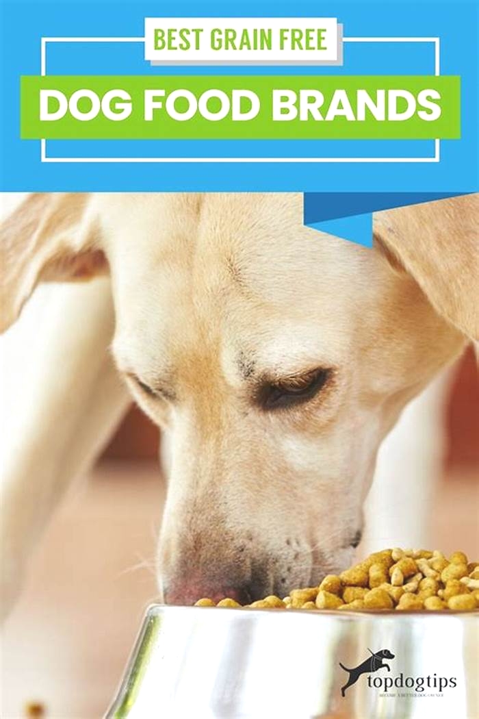 Why do vets recommend grain free dog food?